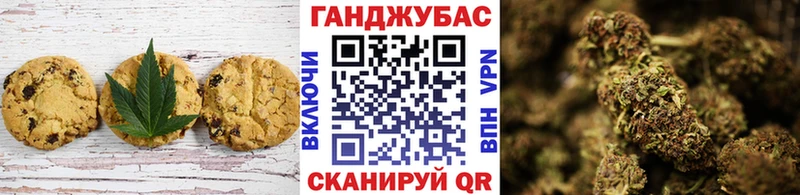 Cannafood конопля  блэк спрут tor  Малгобек 