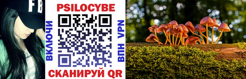 omg tor  Малгобек  Галлюциногенные грибы Cubensis 