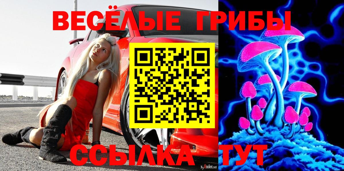 Псилоцибиновые грибы ЛСД Малгобек