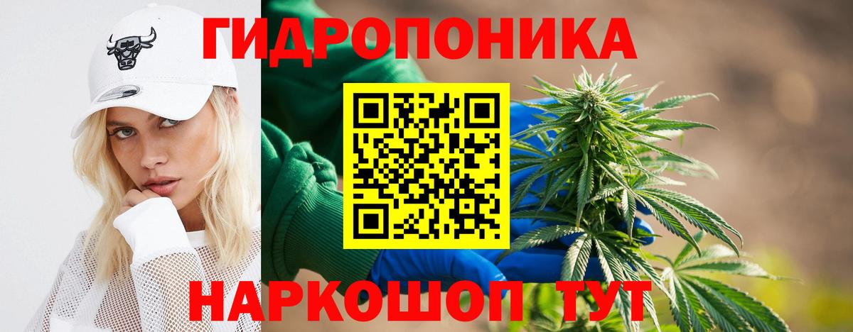 Шишки марихуана сатива Малгобек